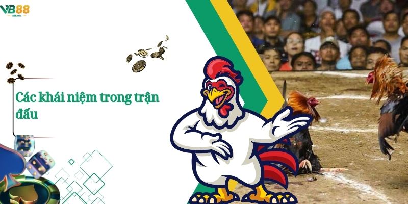 Thuật Ngữ Đá Gà – Những Khái Niệm Cốt Lõi Người Chơi Nên Biết 3 Các khái niệm trong trận đấu