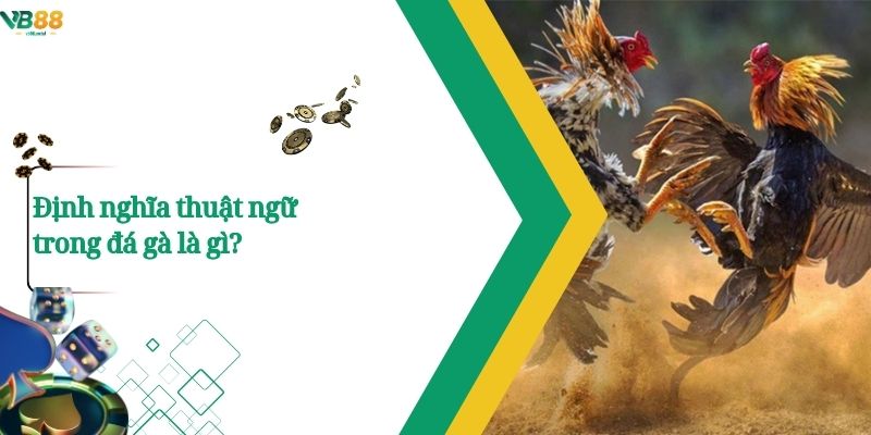 Thuật Ngữ Đá Gà – Những Khái Niệm Cốt Lõi Người Chơi Nên Biết 2 Định nghĩa thuật ngữ trong đá gà là gì?