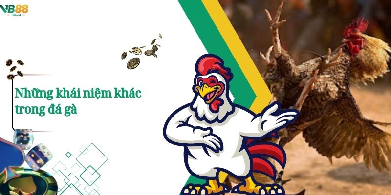 Thuật Ngữ Đá Gà – Những Khái Niệm Cốt Lõi Người Chơi Nên Biết 4 Những khái niệm khác trong đá gà