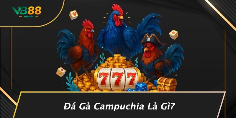 Phân Biệt Đá Gà Thomo Và Đá Gà Campuchia: Những Điều Bạn Chưa Biết 2 Đá Gà Campuchia Là Gì?